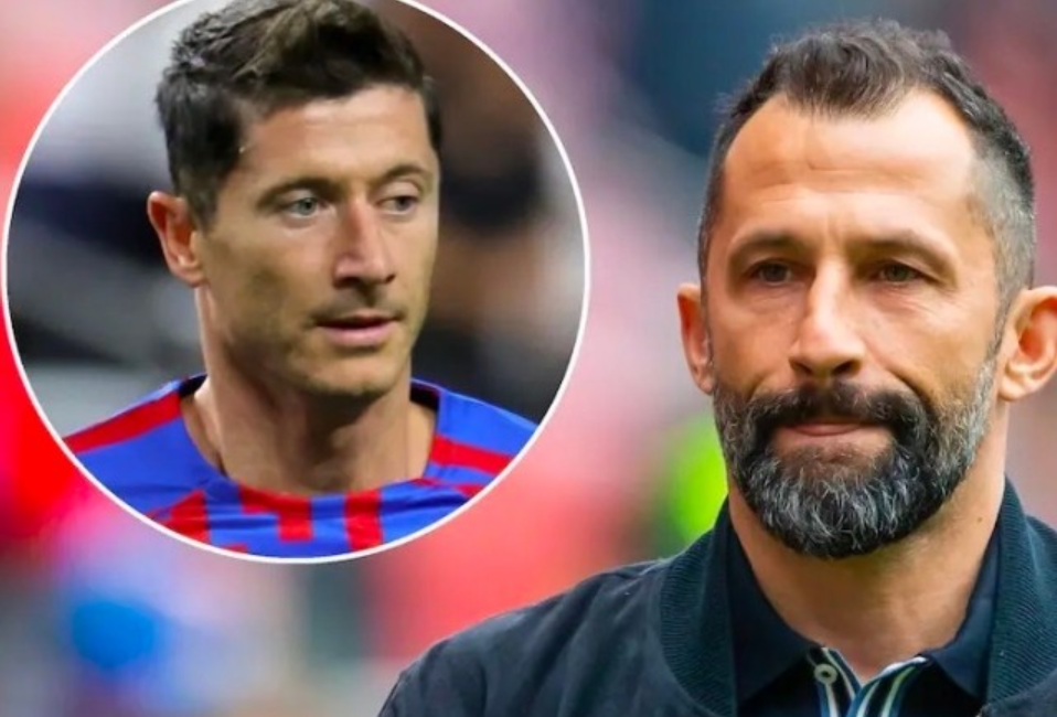 娱乐感相融 娱乐感相融