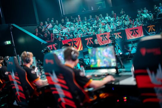 种子顺利晋 种子顺利晋