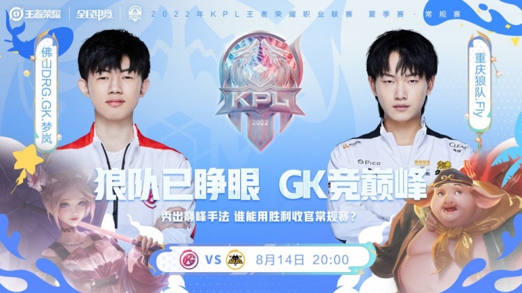 家队的双重 家队的双重